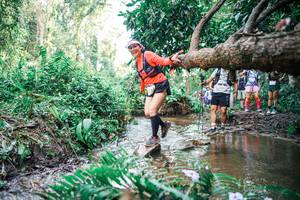 BIB: 
                            <button type="button" onclick="openModal(25513929)" class="btn btn-primary btn-sm float-right btn-popup" data-toggle="modal" data-target=".modal-high-quality">
                        <i class="fas fa-shopping-cart"></i> Add to Cart
                    </button>
                                            <button type="button" onclick="isThisMe(25513929, true)" class="btn btn-success btn-sm float-right btn-popup btn-isme hidden" data-toggle="tooltip" data-placement="bottom" title="นี่คือรูปของคุณใช่ไหม คลิกที่นี่เพื่อเอาเข้าอัลบั้ม">
                        <i class="fas fa-plus"></i> Add to album
                    </button>
                    <button type="button" onclick="isThisMe(25513929, false)" class="btn btn-warning btn-sm float-right btn-popup btn-isnotme hidden">
                        <i class="fas fa-ban"></i> Remove from album
                    </button>